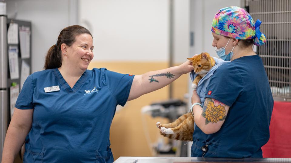 Two vet techs at Animal Humane Society with a cat