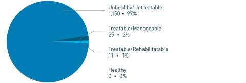 2023 Annual Report euthanasia by reason pie chart