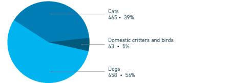 2023 Annual Report euthanasia by species pie chart