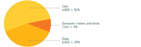 2023 Annual Report Intake by species pie chart