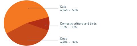 2023 Annual Report placement by species pie chart