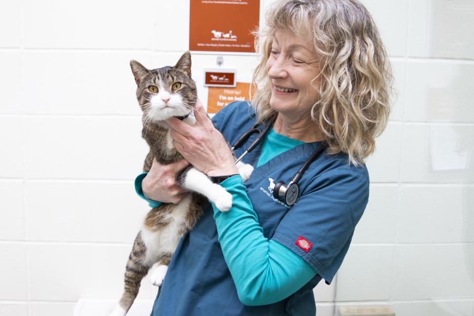 AHS vet staff with cat
