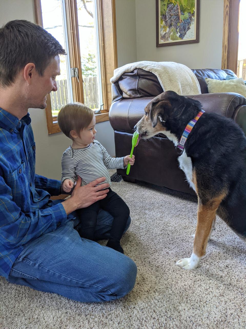 A toddler feeds a dog from a spatula